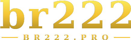 br222 logo